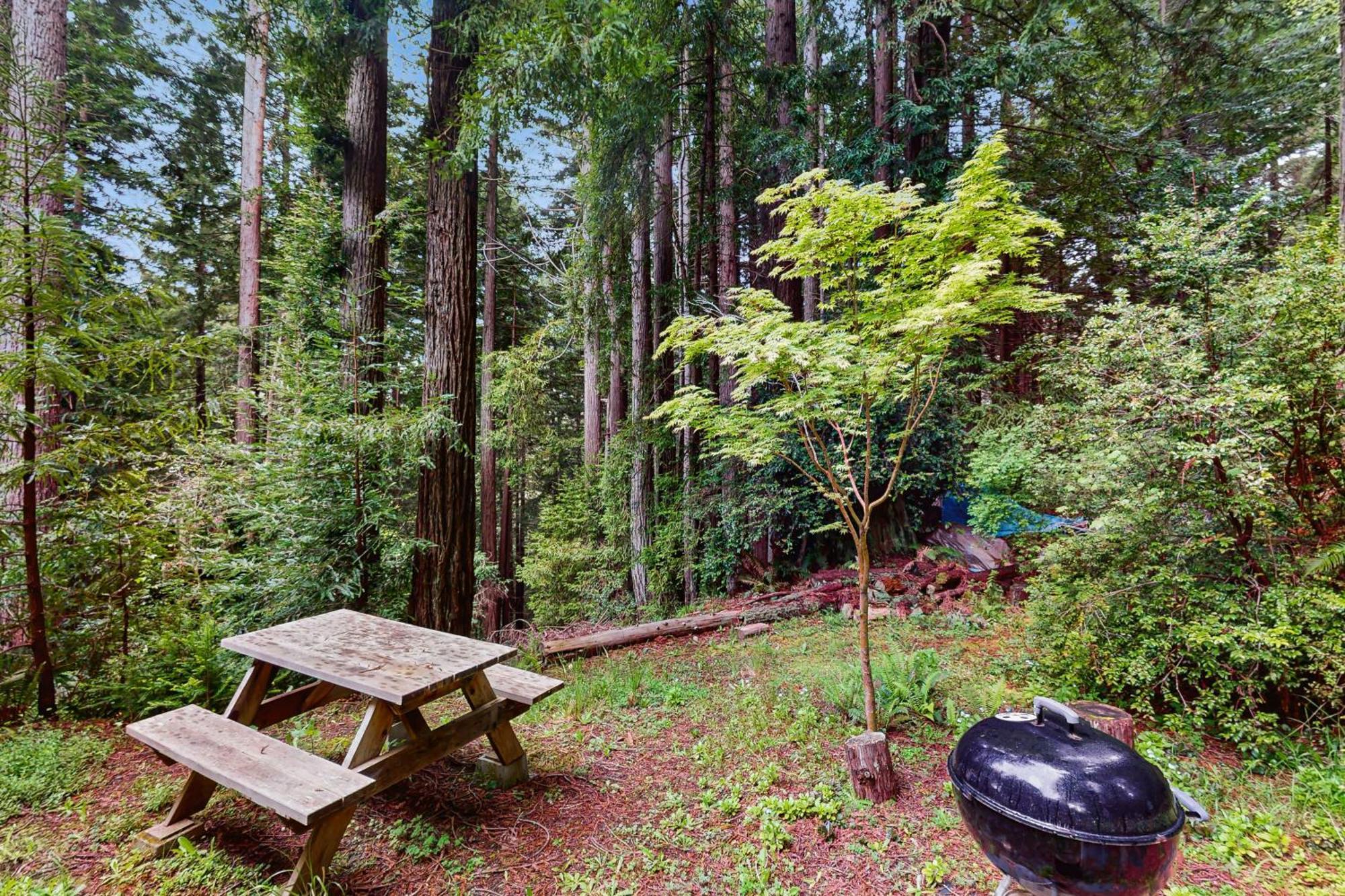 Serene Redwood Retreat อาร์คาตา ภายนอก รูปภาพ