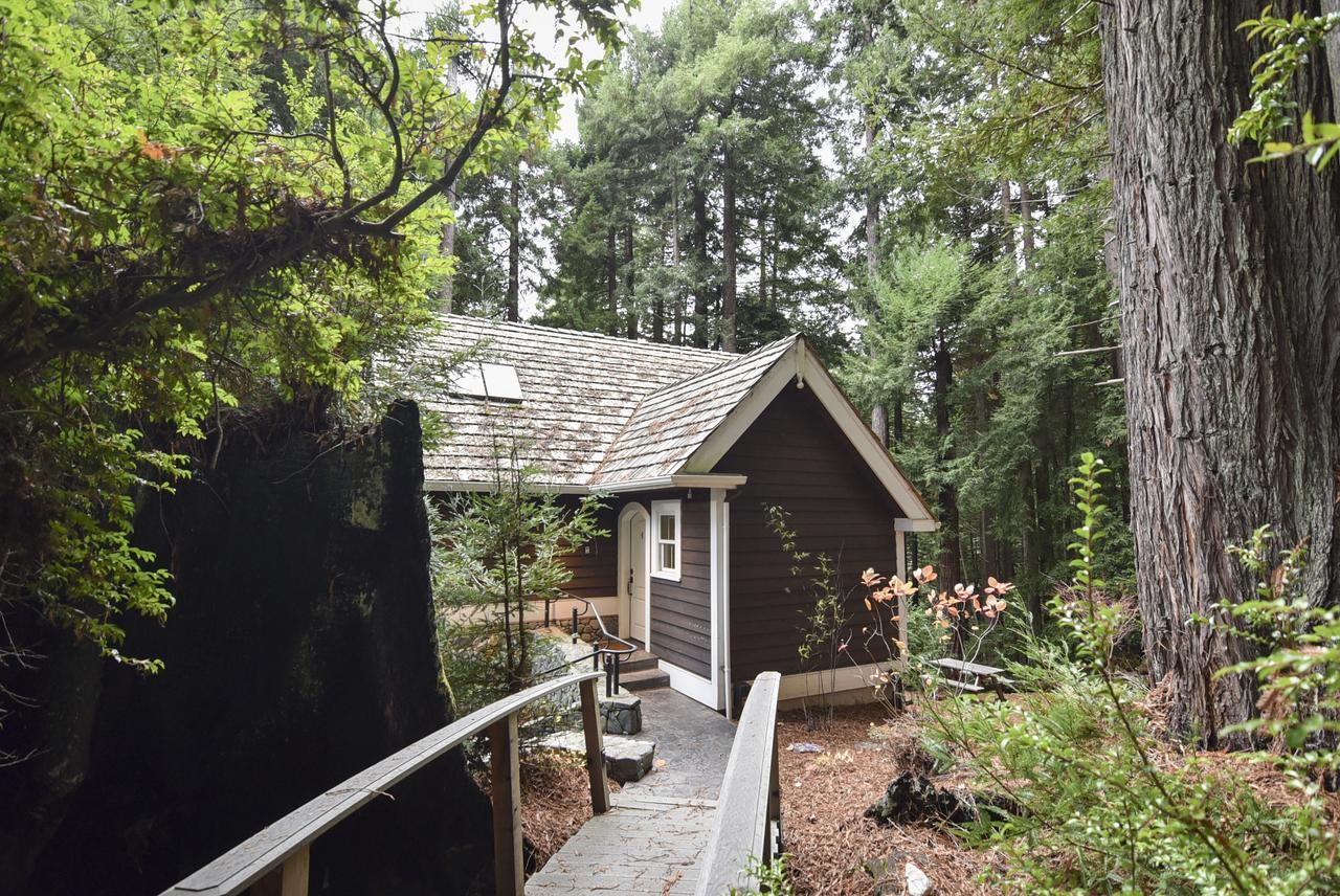 Serene Redwood Retreat อาร์คาตา ภายนอก รูปภาพ