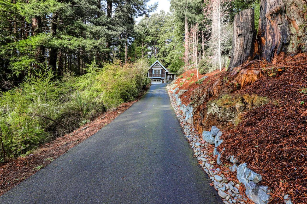 Serene Redwood Retreat อาร์คาตา ภายนอก รูปภาพ