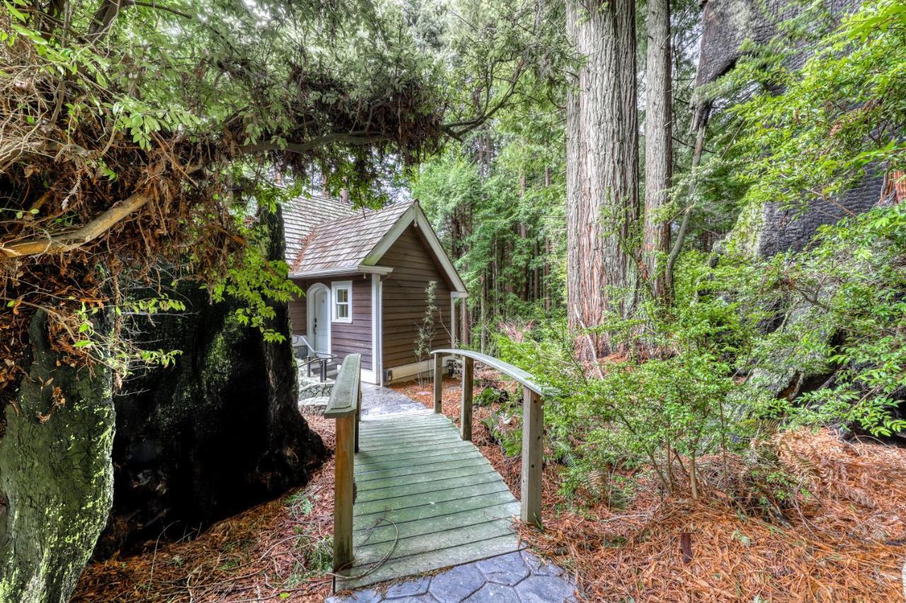 Serene Redwood Retreat อาร์คาตา ภายนอก รูปภาพ